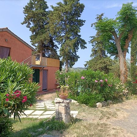 Il Giogo Agriturismo 로시냐노 마리티모 외부 사진