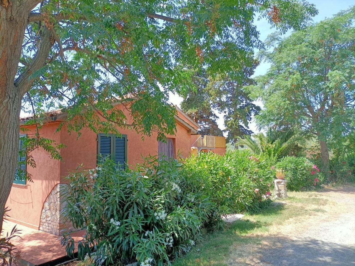 Il Giogo Agriturismo 로시냐노 마리티모 외부 사진