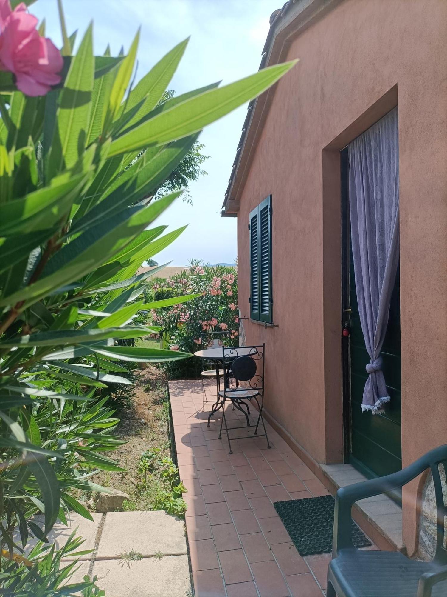 Il Giogo Agriturismo 로시냐노 마리티모 외부 사진