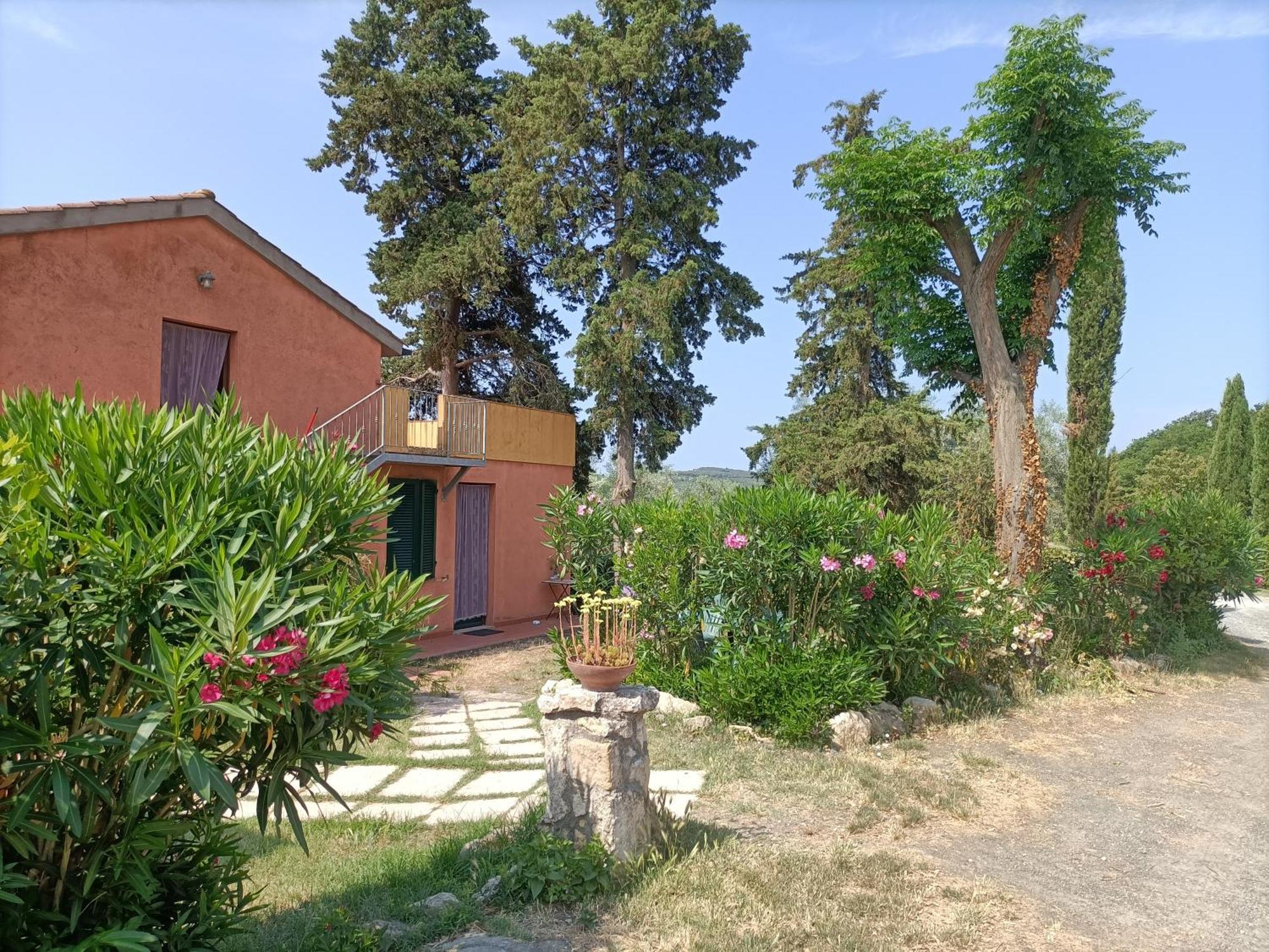 Il Giogo Agriturismo 로시냐노 마리티모 외부 사진