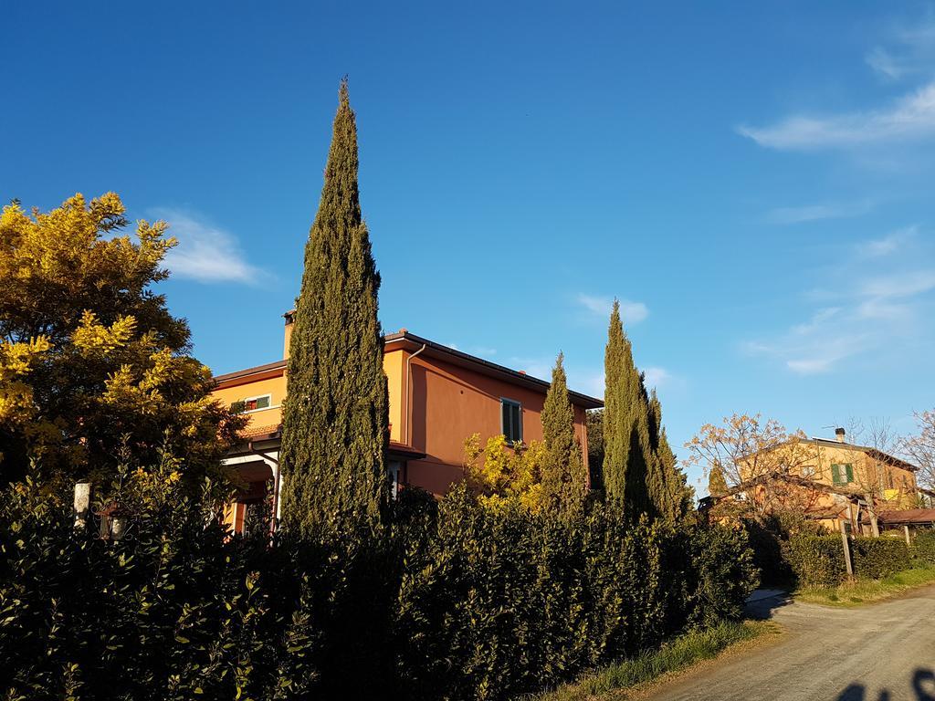 Il Giogo Agriturismo 로시냐노 마리티모 외부 사진