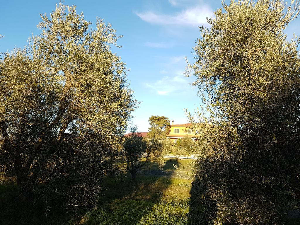 Il Giogo Agriturismo 로시냐노 마리티모 외부 사진