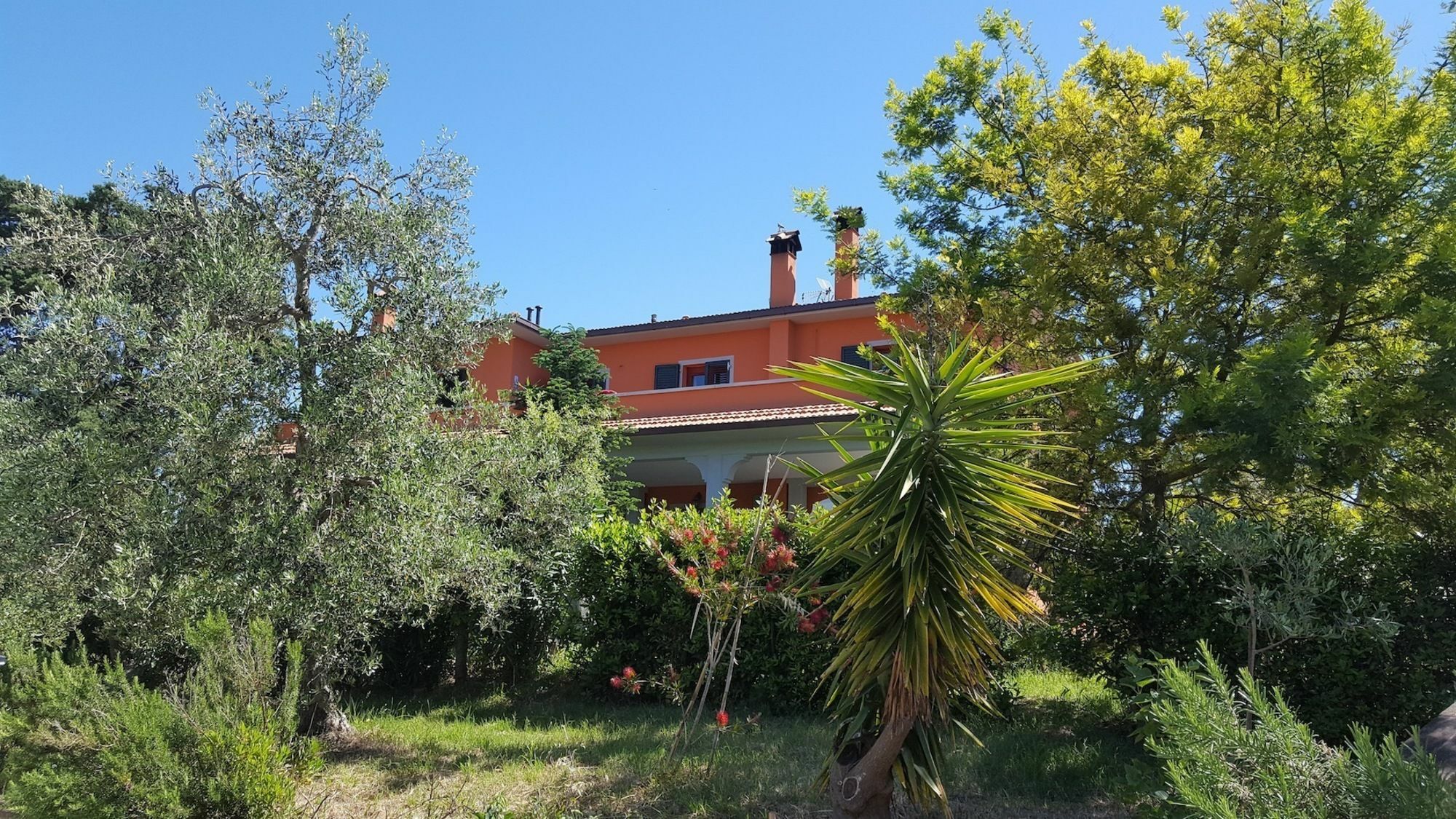Il Giogo Agriturismo 로시냐노 마리티모 외부 사진