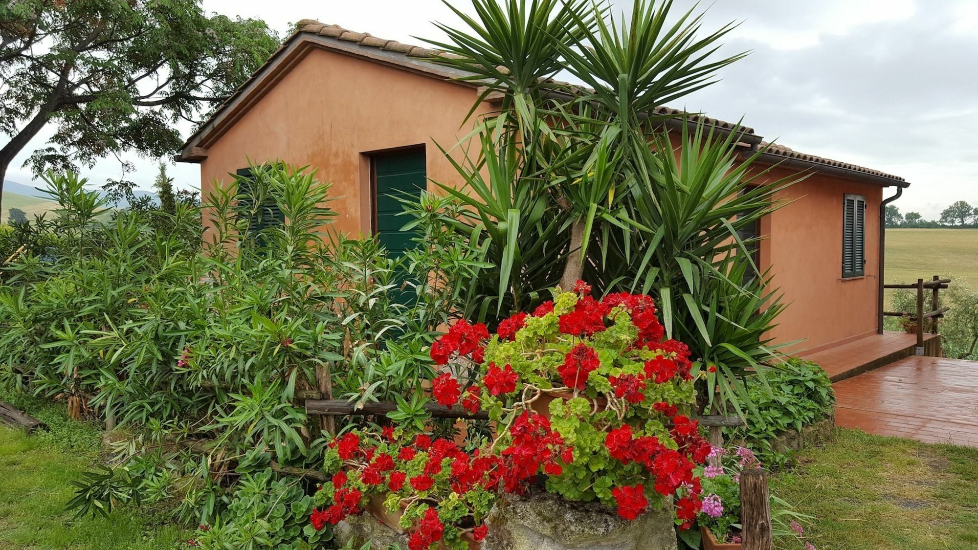 Il Giogo Agriturismo 로시냐노 마리티모 외부 사진